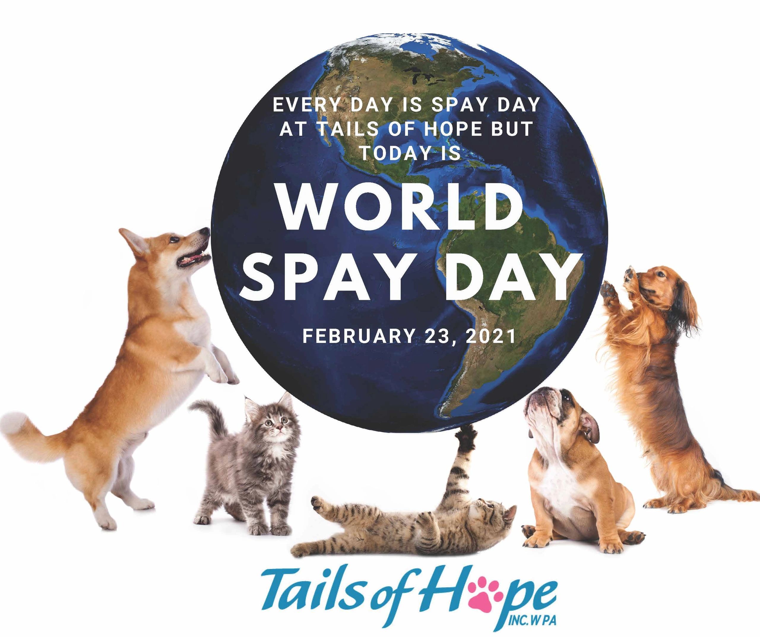 February 23rd is WORLD SPAY DAY